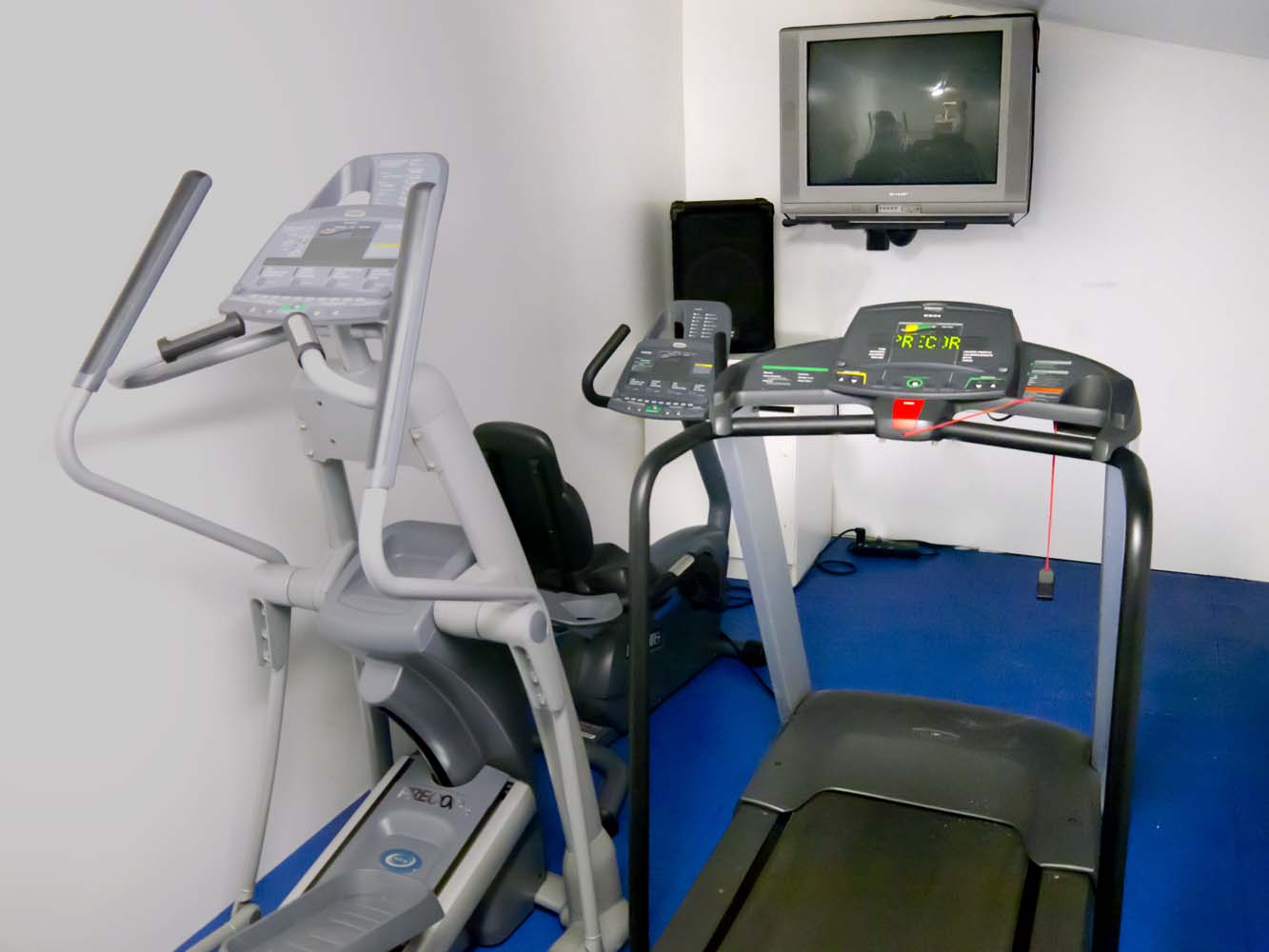 Gym - Cardio Area