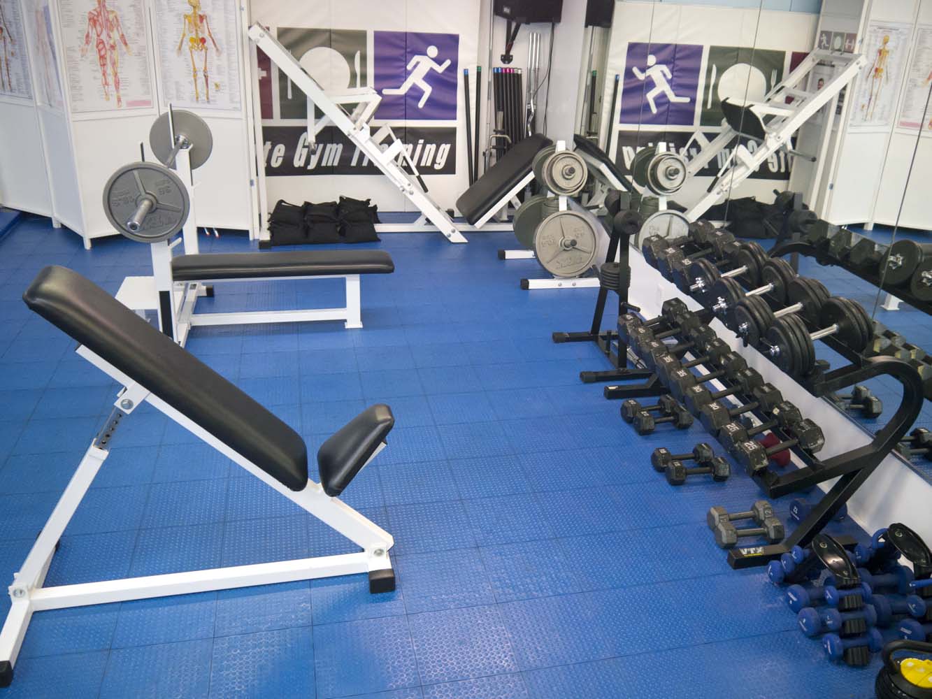 Gym - Freeweights Area