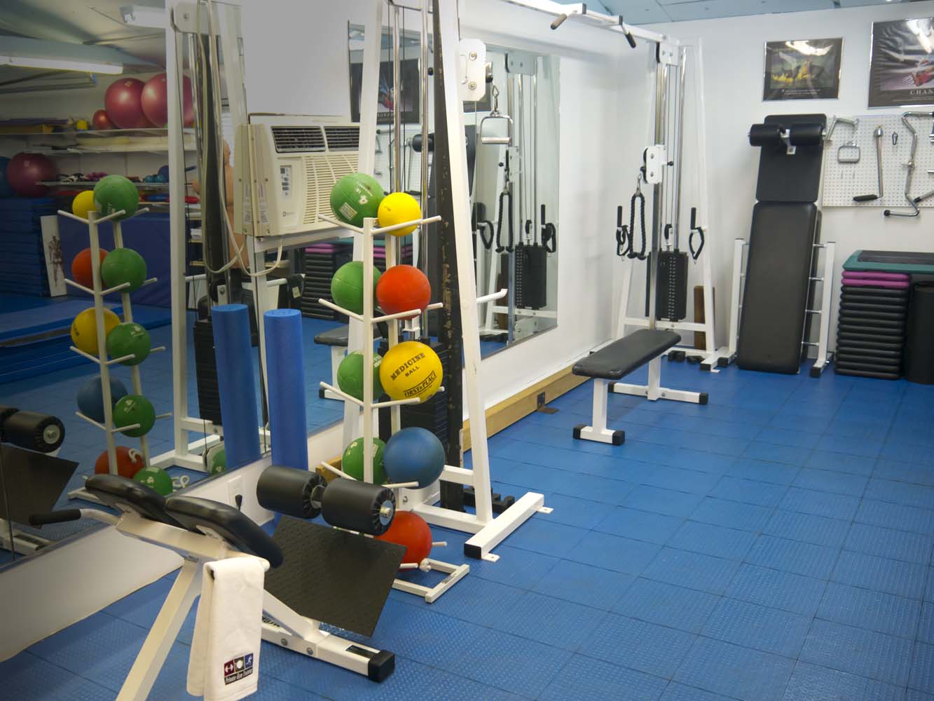 Gym - Crossover Cable